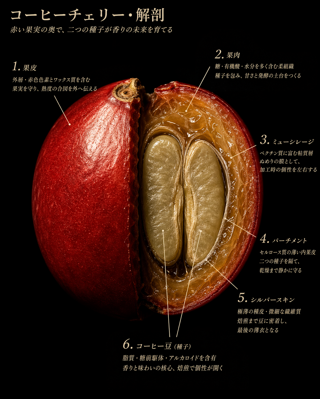 好きな食材から美しすぎる「博物学アート風」フード解剖図画像を生成